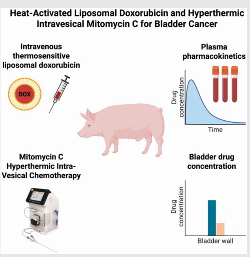 Heat-activated intravenous liposomal doxorubicin combined with mitomycin C hyperthermic intravesical chemotherapy (HIVEC) for treatment of bladder cancer